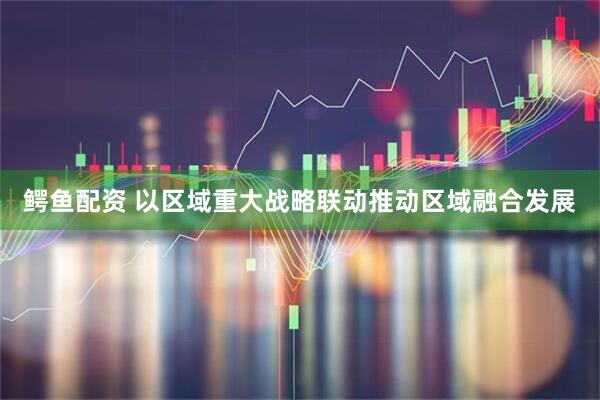 鳄鱼配资 以区域重大战略联动推动区域融合发展