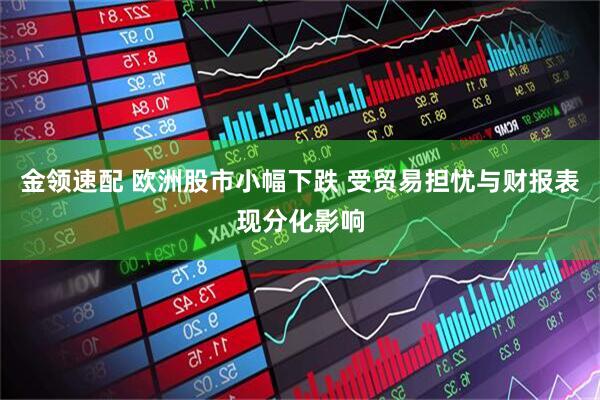 金领速配 欧洲股市小幅下跌 受贸易担忧与财报表现分化影响