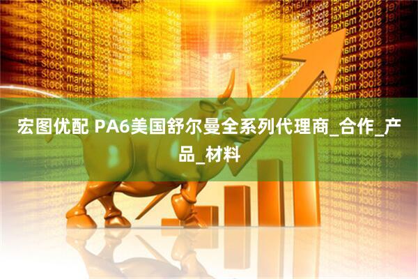 宏图优配 PA6美国舒尔曼全系列代理商_合作_产品_材料