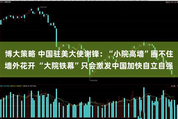 博大策略 中国驻美大使谢锋：“小院高墙”圈不住墙外花开 “大院铁幕”只会激发中国加快自立自强