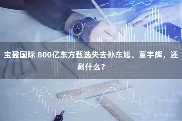 宝盈国际 800亿东方甄选失去孙东旭、董宇辉，还剩什么？