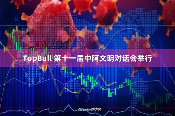 TopBull 第十一届中阿文明对话会举行