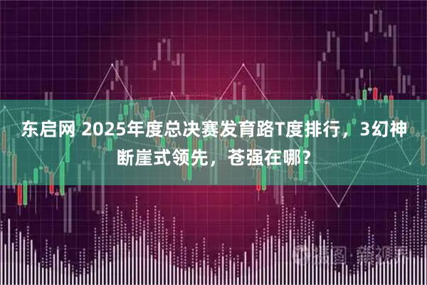 东启网 2025年度总决赛发育路T度排行,3幻神断崖式领先,苍强在哪?
