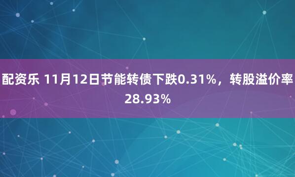 配资乐 11月12日节能转债下跌0.31%,转股溢价率28.93%