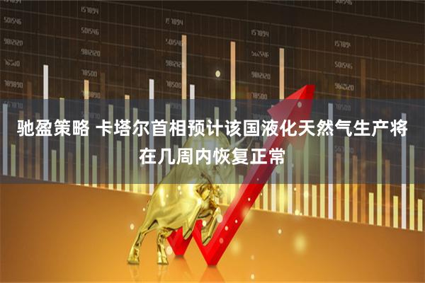 驰盈策略 卡塔尔首相预计该国液化天然气生产将在几周内恢复正常